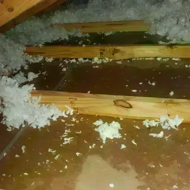 Attic Water Damage in Addison, VT